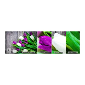 Fototapeta Vzorek Standard Eco - V den jarního svátku - Květiny, tulipány, Kytice květin - 100x30 cm