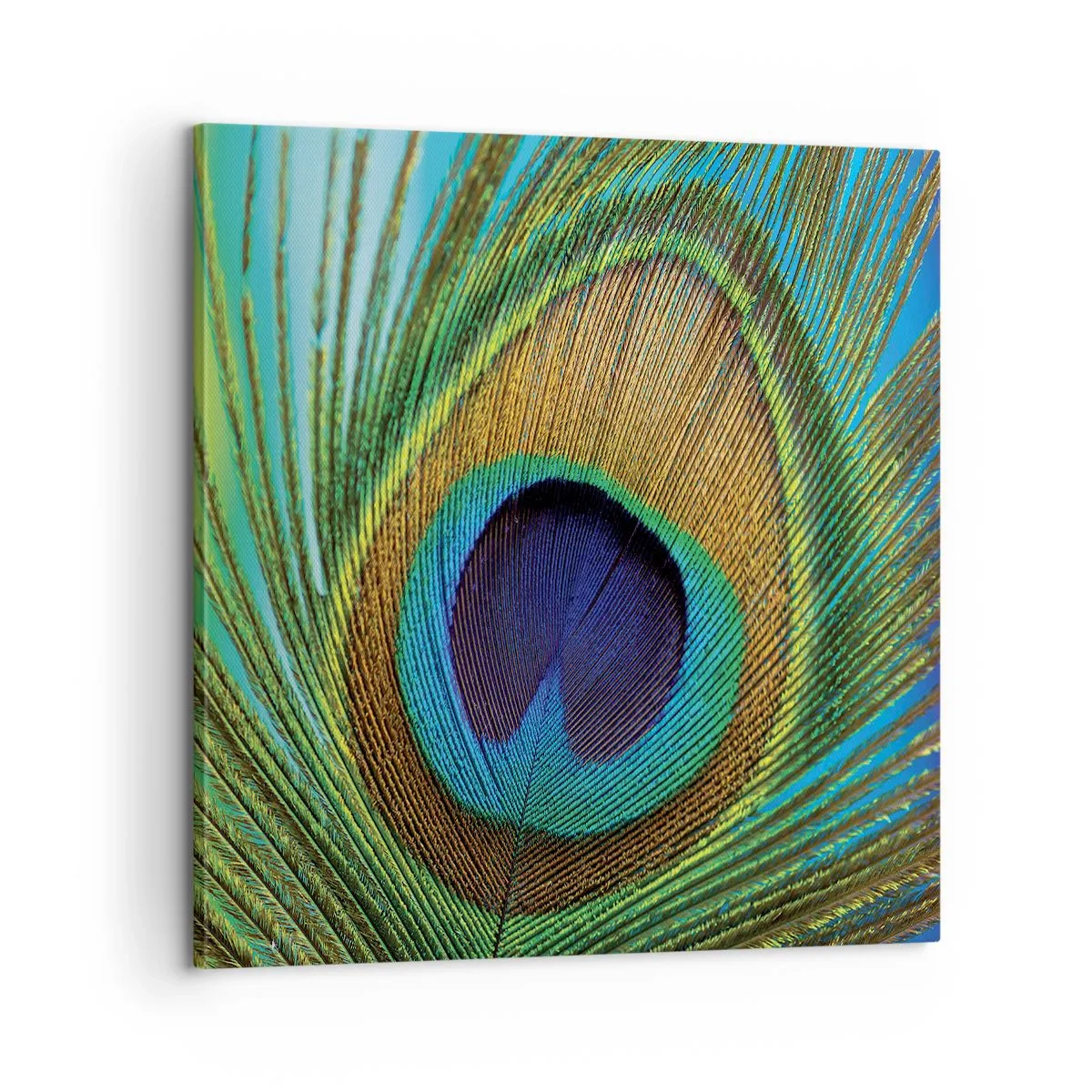 Obraz na plátně - Tváří v tvář - 60x60 cm