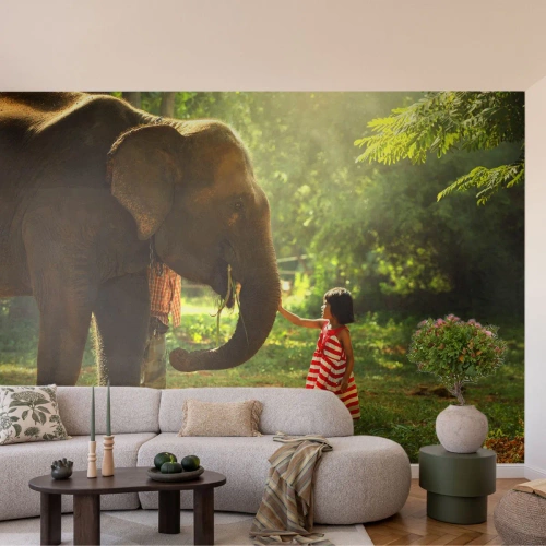 Fototapeta Samolepicí Deluxe Sticker - Síla přátelství - Zvířata, Slon, Dívka - 100x70 cm