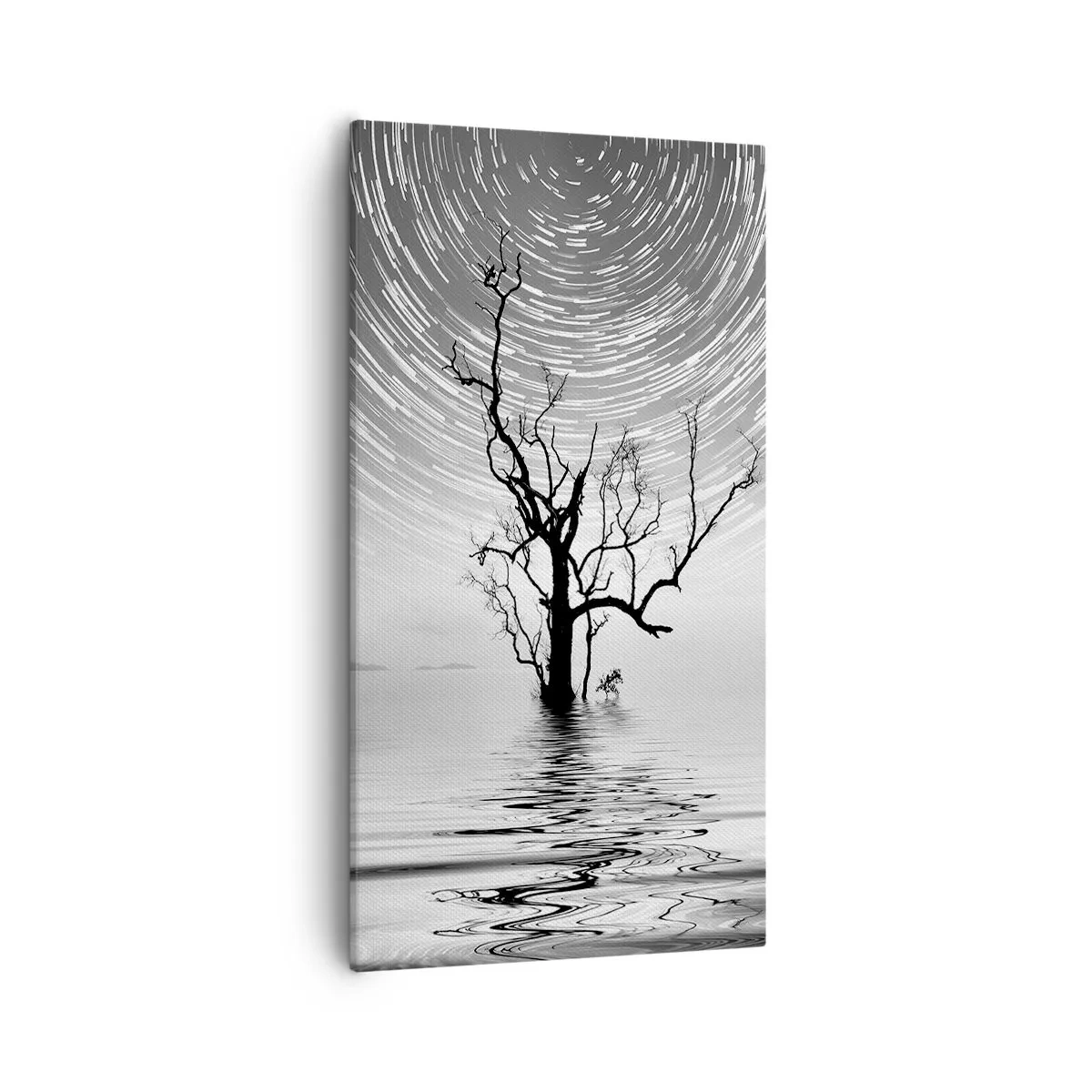 Obraz na plátně - Symfonie přírody - 55x100 cm