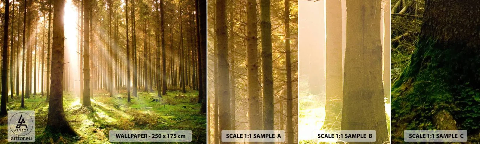 Vzor Fototapety Samolepicí Deluxe Sticker - Brzy se objeví elfové - Les, Paprsky slunce, Příroda - 100x30 cm