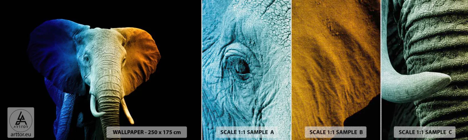 Vzor Fototapety Premium Canvas - Výstřední muž, ale ne podivín - Abstrakce, Slon, Zvířata - 100x30 cm