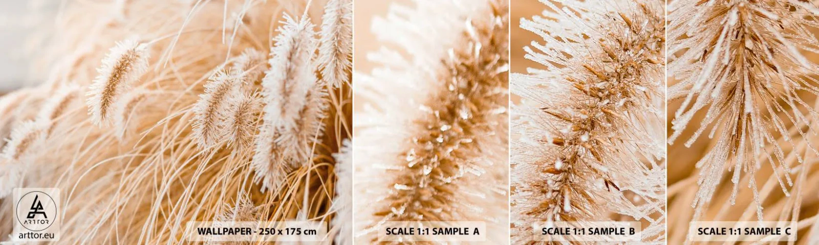 Vzor Fototapety Samolepicí Deluxe Sticker - Zlaté šustění travin - Pampasová tráva, Louka, Příroda - 100x30 cm