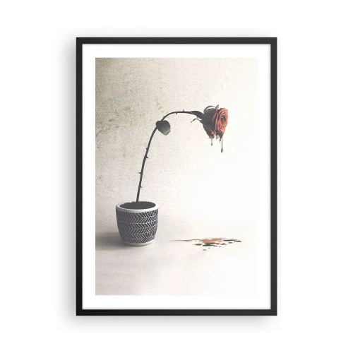 Plakát v černém rámu - Růže v květináči s uměleckým splývavým efektem - 50x70cm - Rosa dolorosa - Moderní nástěnná dekorace do obývacího pokoje a ložnice ARTTOR