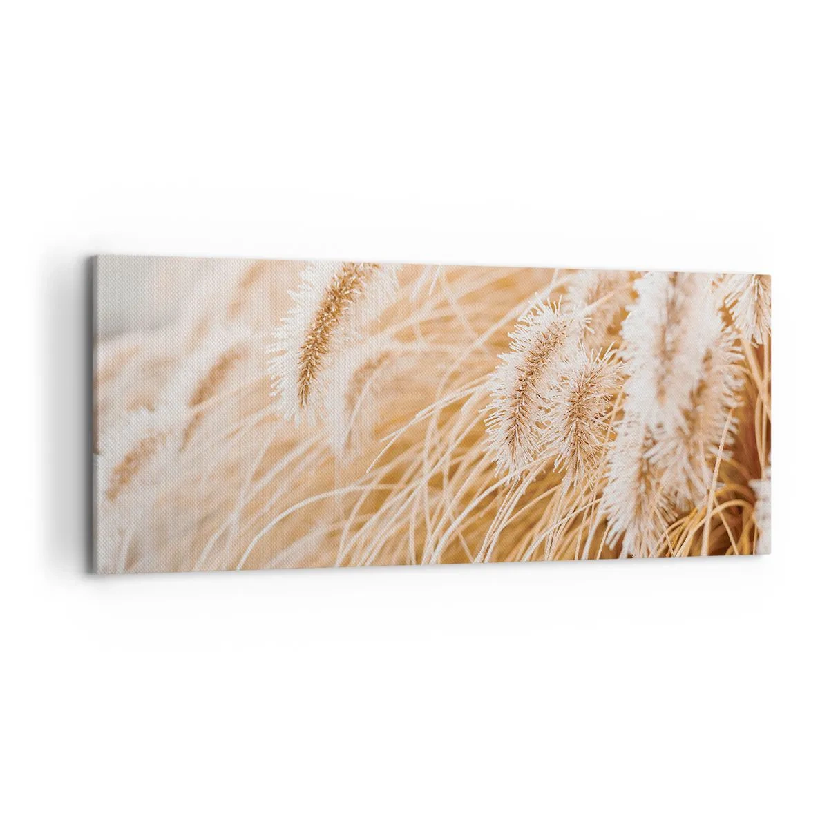 Obraz na plátně - Zlaté šustění travin - 120x50 cm