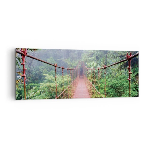 Obraz na plátně - Zavěšený nad korunami - 140x50 cm