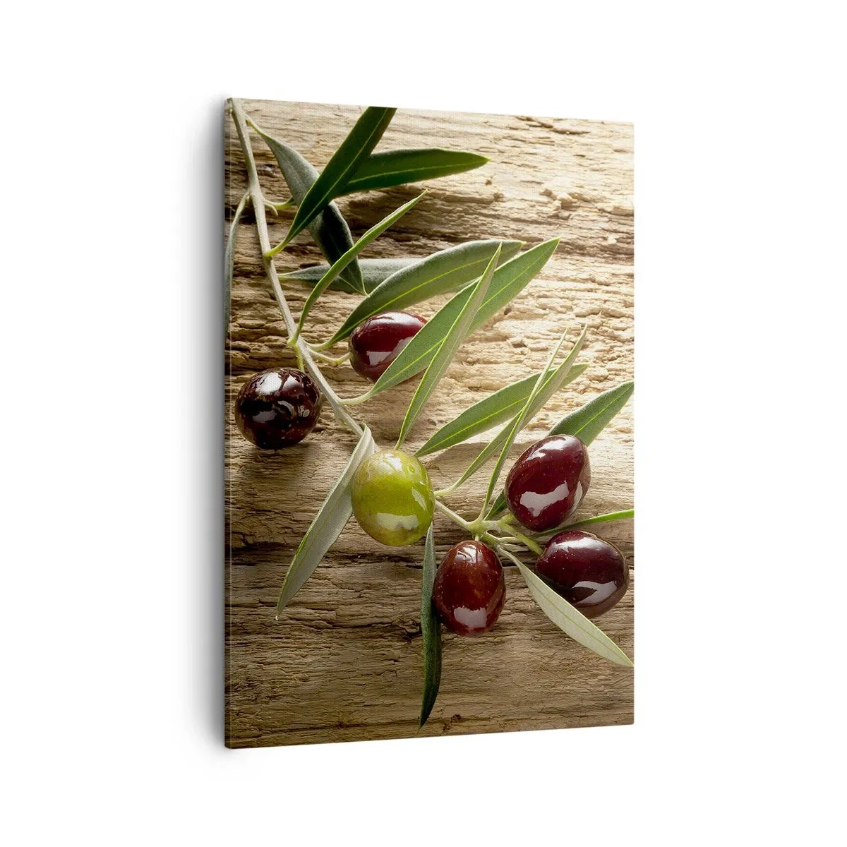 Obraz na plátně - Přímo od přírody - 50x70 cm