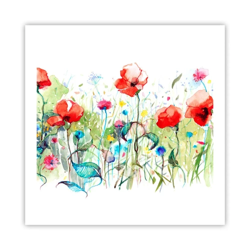 Plakát - Kvetoucí louka v květnu - 60x60 cm