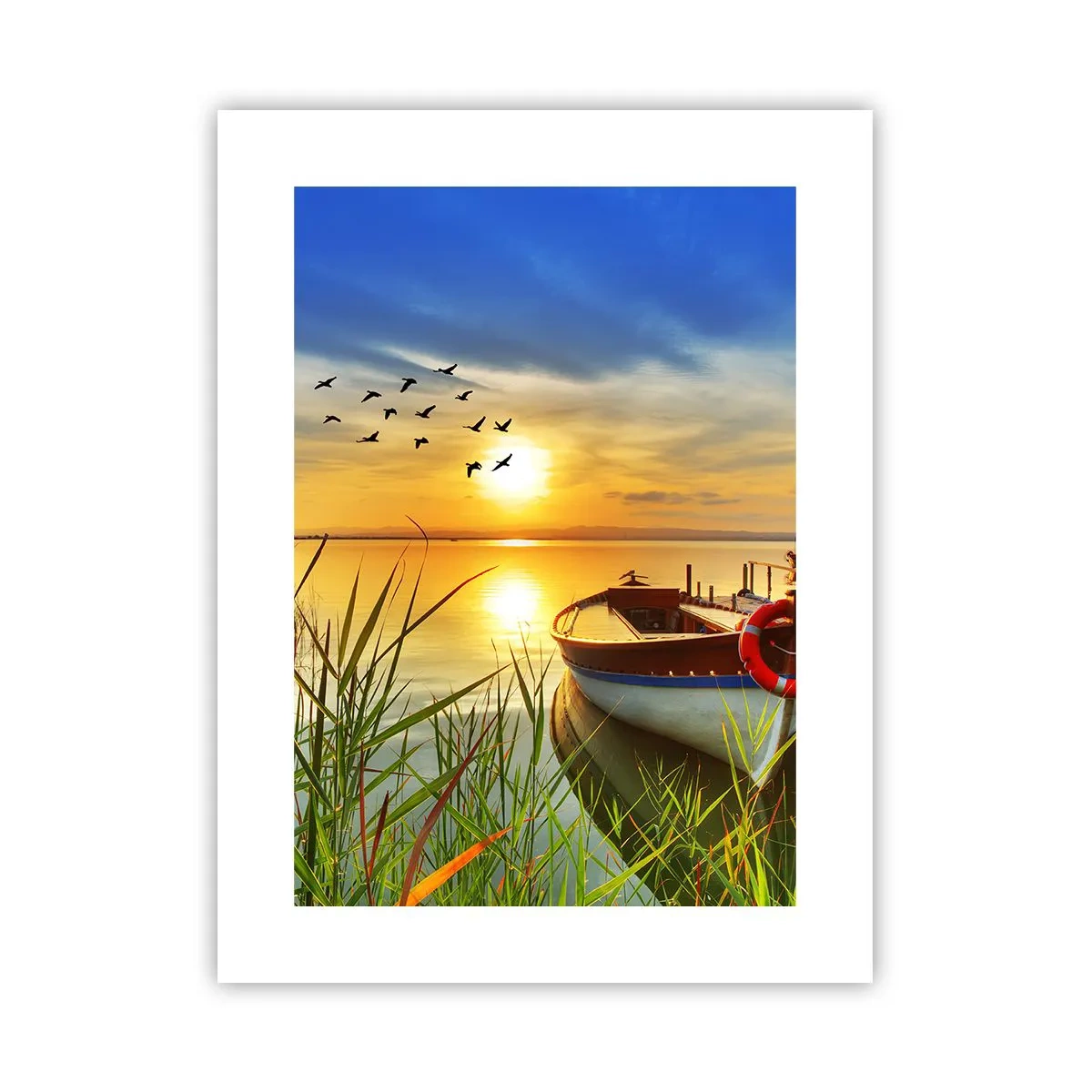 Plakát - Kormoráni už odlétají - 30x40 cm