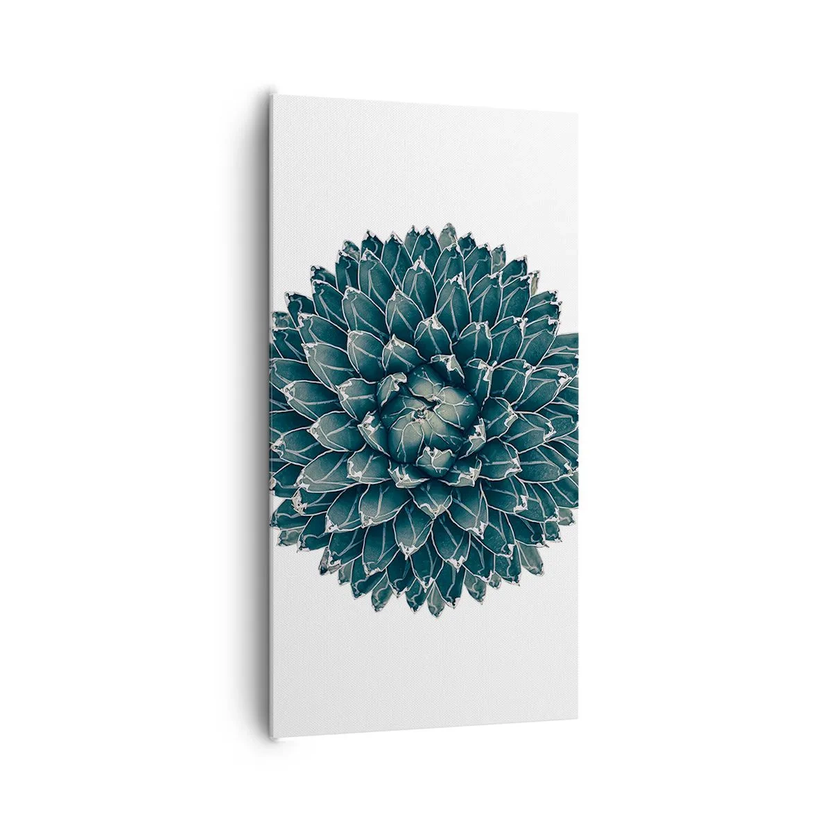 Obraz na plátně - Hvězda pouště - 65x120 cm