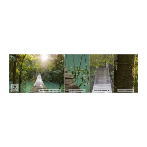 Vzor Fototapety Premium Sand - Nad azurovou vodou do azurového lesa - Krajina, Džungle, Dřevěný most - 100x30 cm