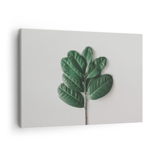 Obraz na plátně - Snítka zelených listů na světlém pozadí - 70x50cm - Kresba samotné přírody - Moderní nástěnná dekorace do obývacího pokoje a ložnice ARTTOR