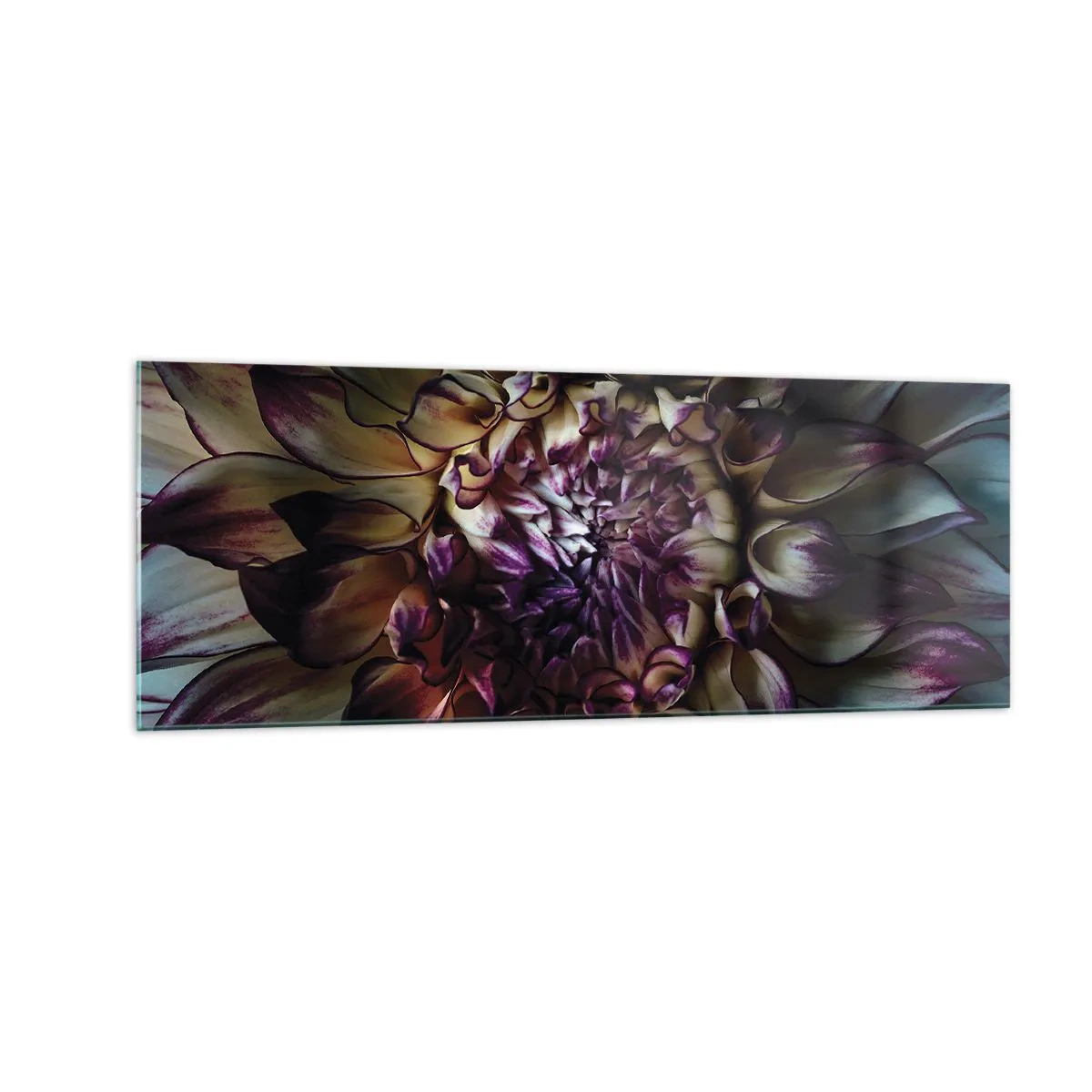 Obraz na skle - Rozkvět mládí - 140x50 cm