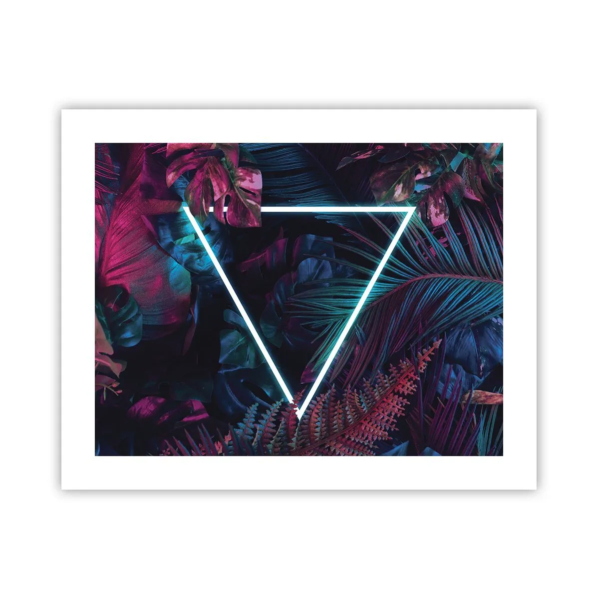 Plakát - Zahrada v disco stylu - 50x40 cm