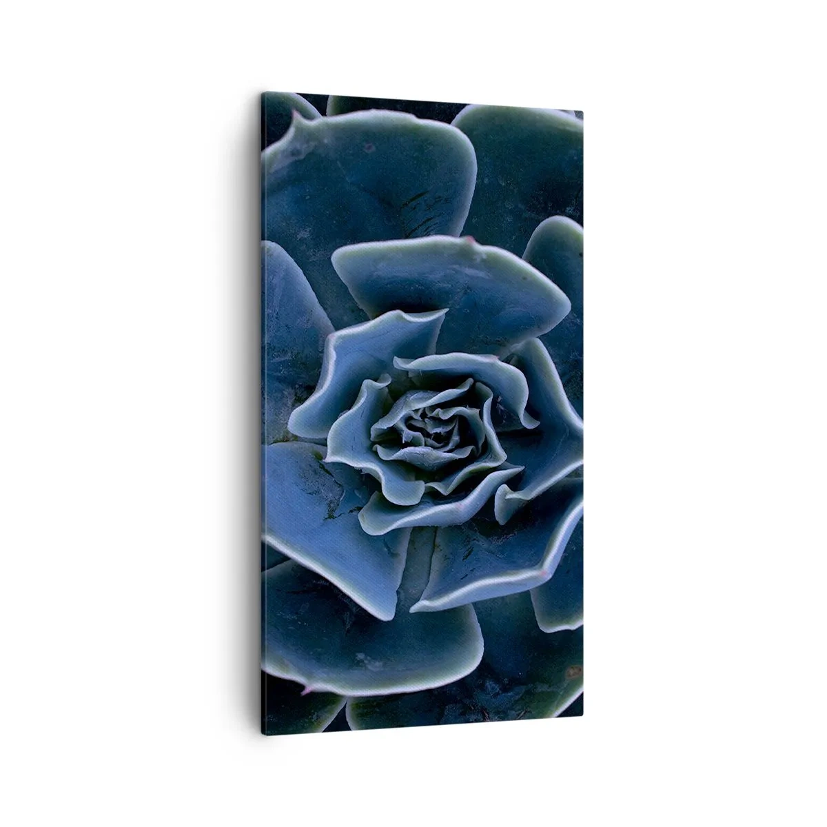 Obraz na plátně - Pouštní květ - 45x80 cm