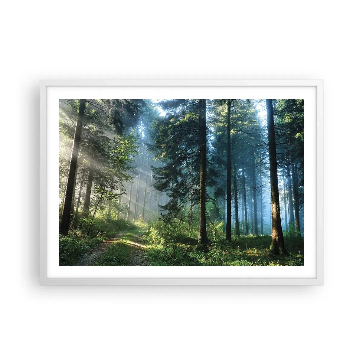 Plakát v bílém rámu - Zářící za úsvitu - 70x50 cm