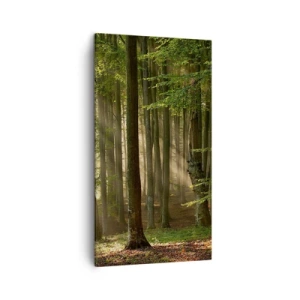 Obraz na plátně - Rozzářený v jarním ránu - 45x80 cm