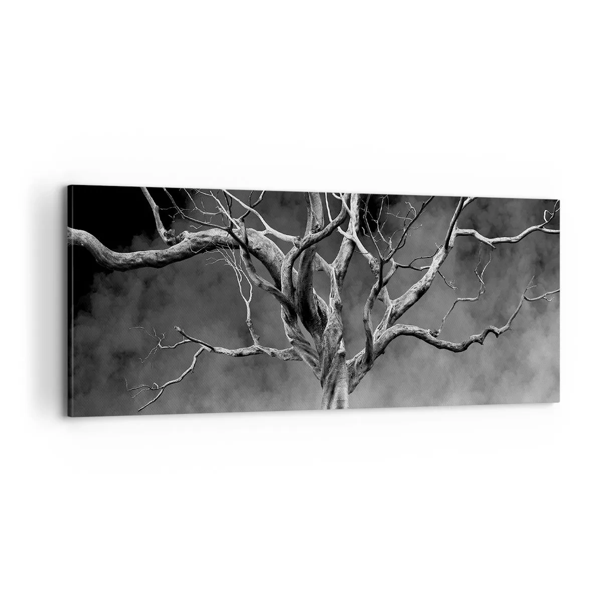 Obraz na plátně - Původní a svaté - 100x40 cm