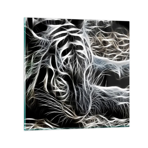 Obraz na skle - Studie kočičí lehkosti - 40x40 cm