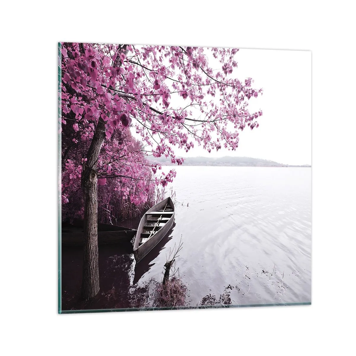 Obraz na skle - V růžovém tichu - 70x70 cm