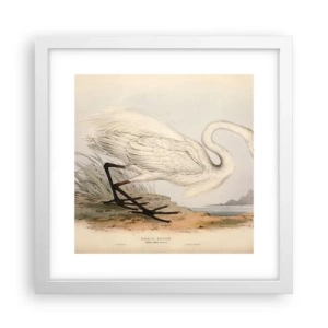 Plakát v bílém rámu - Paní rákosin - 30x30 cm