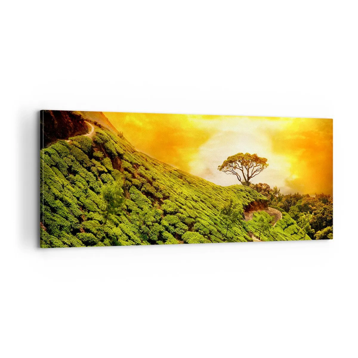 Obraz na plátně - Klikatou stezkou, zeleným úbočím - 100x40 cm