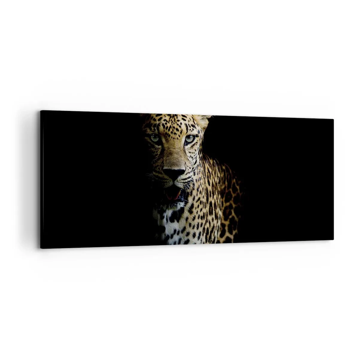 Obraz na plátně - Temná krása - 120x50 cm