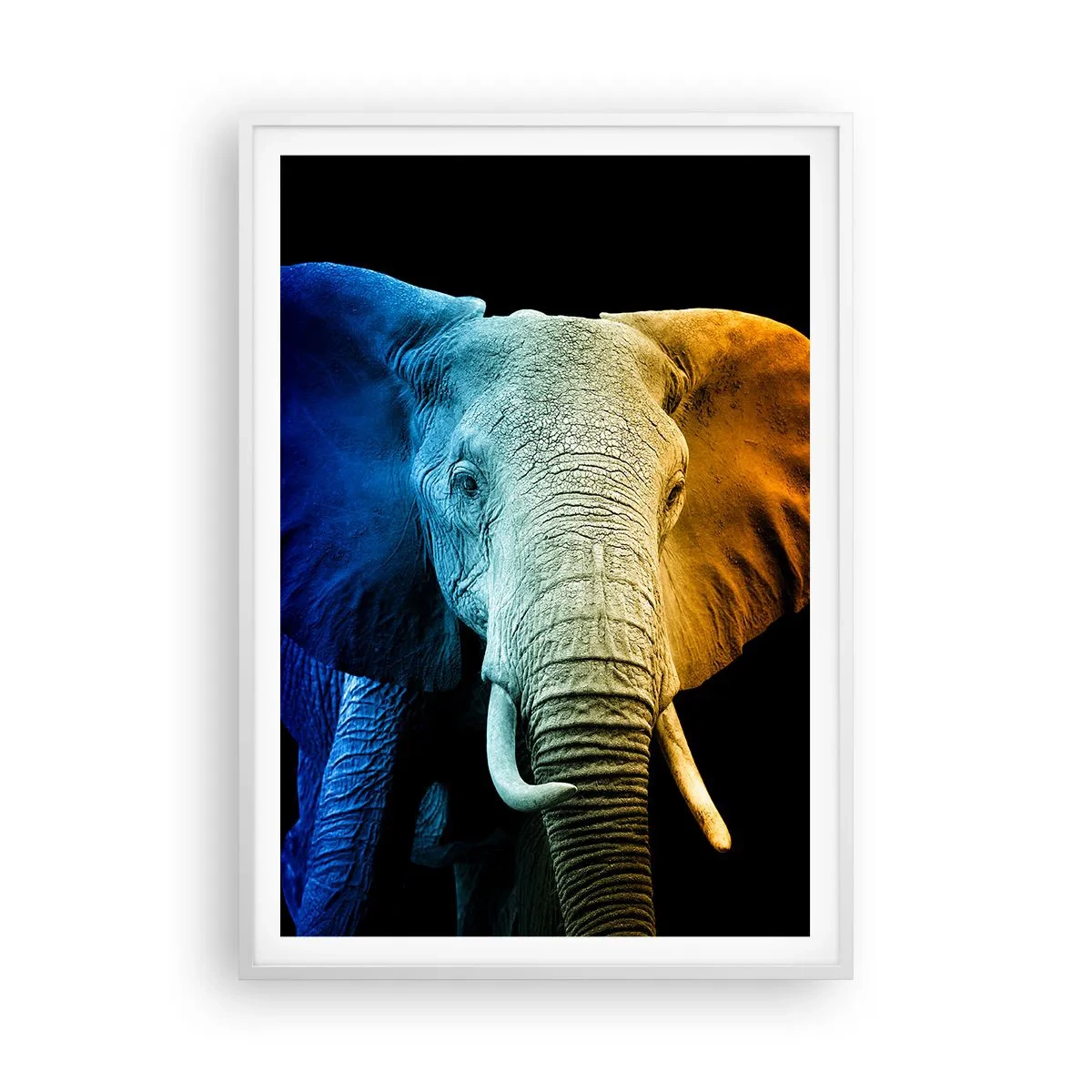 Plakát v bílém rámu - Výstřední muž, ale ne podivín - 70x100 cm