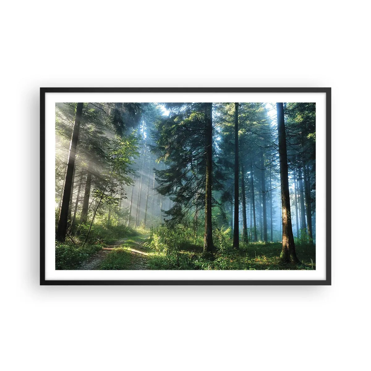 Plakát v černém rámu - Zářící za úsvitu - 91x61 cm