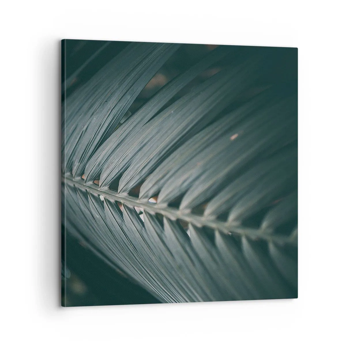 Obraz na plátně - Přesnost přírody - 60x60 cm