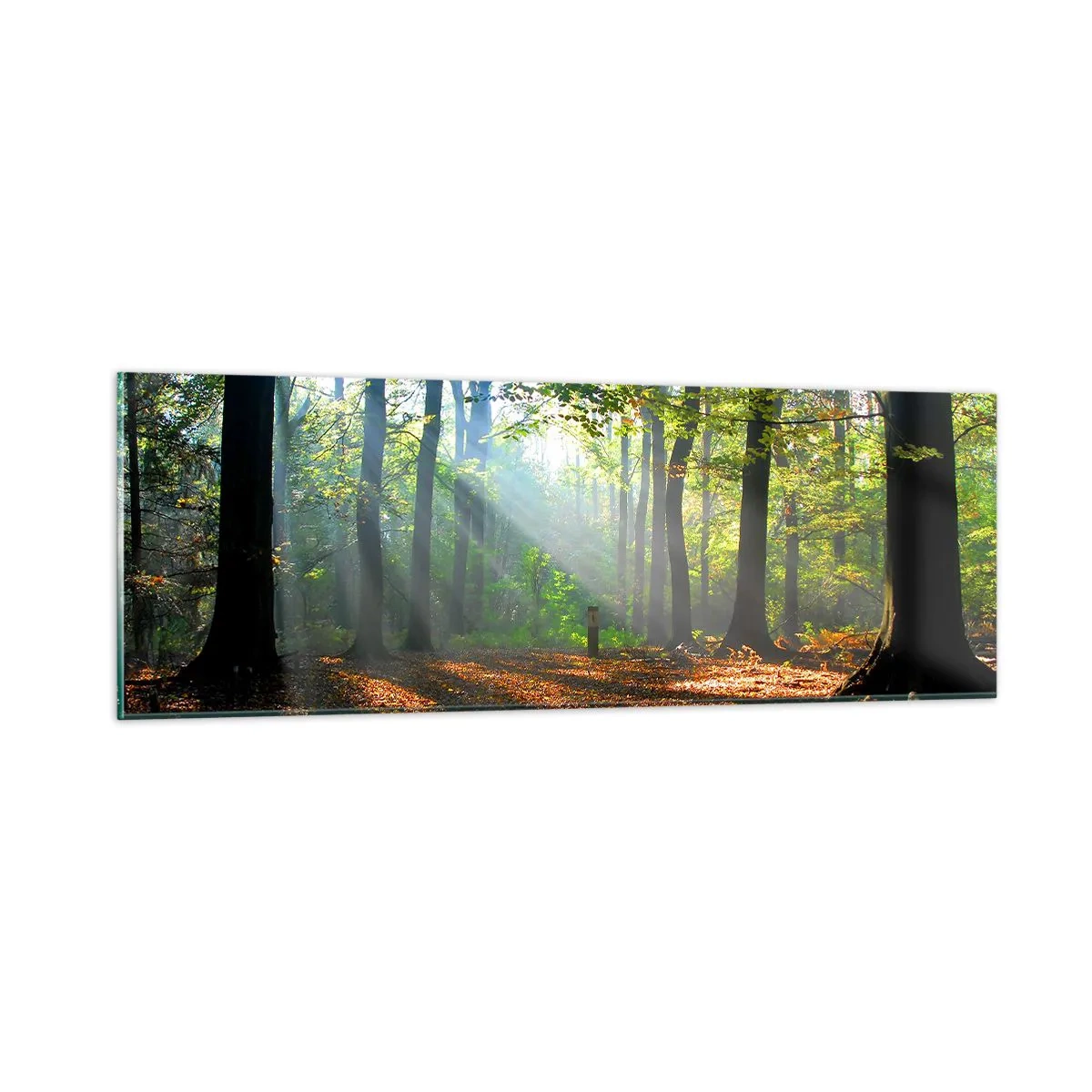 Obraz na skle - Světla a stíny - 90x30 cm