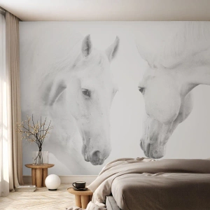 Fototapeta Premium Canvas - Je to přátelství…? - Koně, Příroda, Zvířata - 200x140 cm