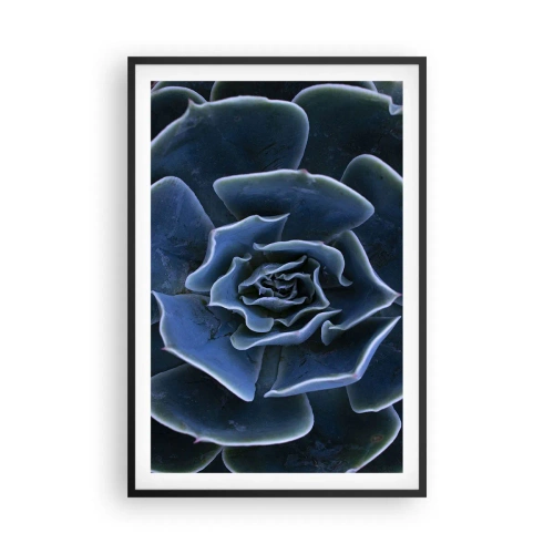 Plakát v černém rámu - Pouštní květ - 61x91 cm