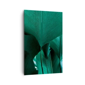 Obraz na plátně - Obrácené ke světlu - 80x120 cm