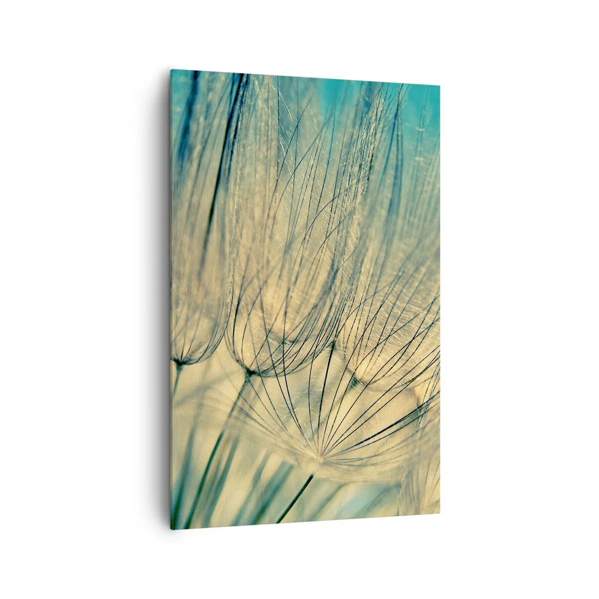 Obraz na plátně - Čekání na vítr - 80x120 cm