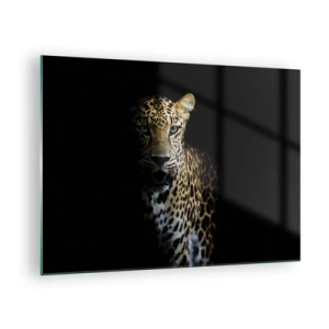 Obraz na skle - Lev ve stínu - 70x50cm - Temná krása - Moderní nástěnná dekorace do obývacího pokoje a ložnice ARTTOR