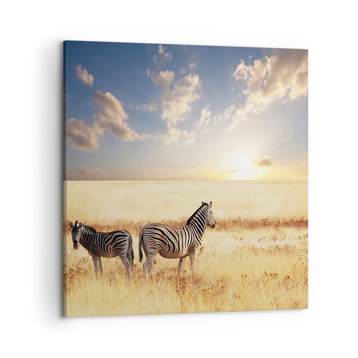 Obraz na plátně - Jdi odsud, neruš klid - 50x50 cm