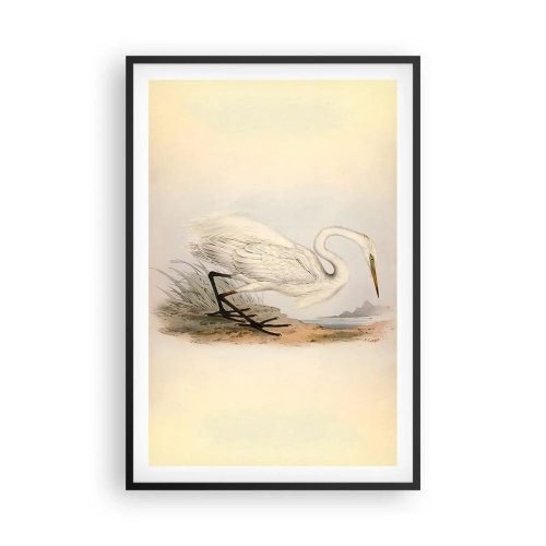 Plakát v černém rámu - Paní rákosin - 61x91 cm