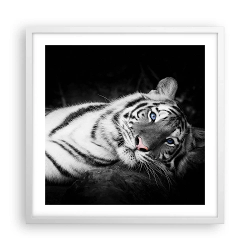 Plakát v bílém rámu - Divočina a klid - 50x50 cm