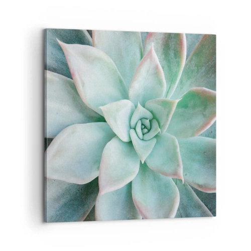 Obraz na plátně - Srdce pouště - 60x60 cm