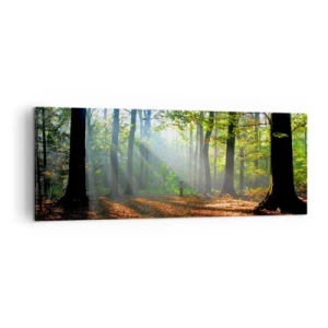Obraz na plátně - Světla a stíny - 140x50 cm