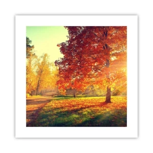 Plakát - Rudé je krásné - 40x40 cm