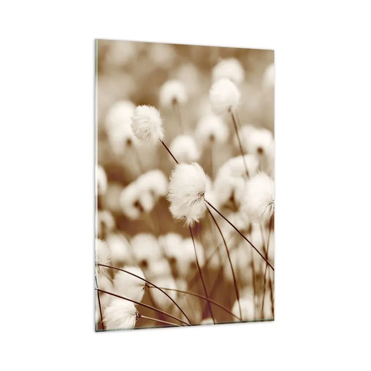Obraz na skle - Chlupatý lán - 80x120 cm
