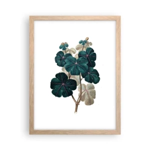 Plakát v rámu světlý dub - Ze starého herbáře - 30x40 cm