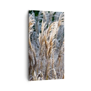Obraz na plátně - Mrazem pokryté - 45x80 cm