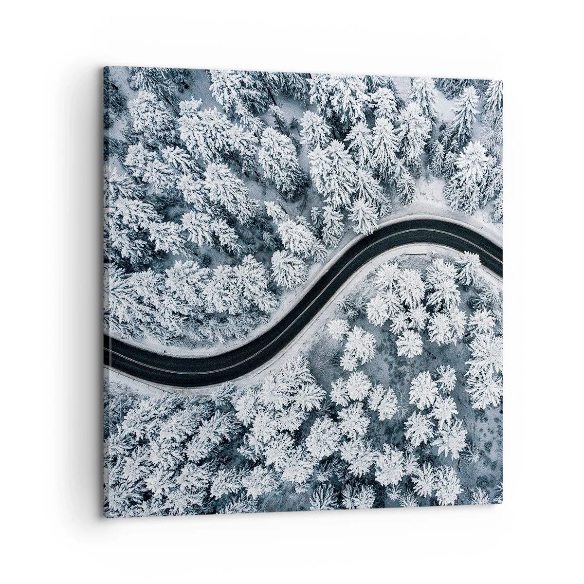 Obraz na plátně - Zimním lesem - 60x60 cm