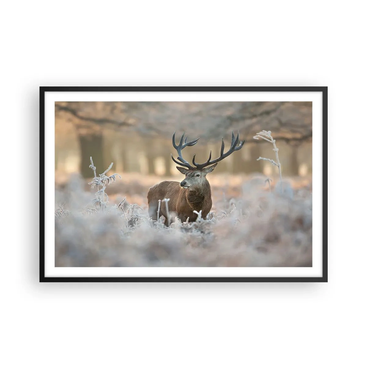 Plakát v černém rámu - Svěží ráno - 91x61 cm