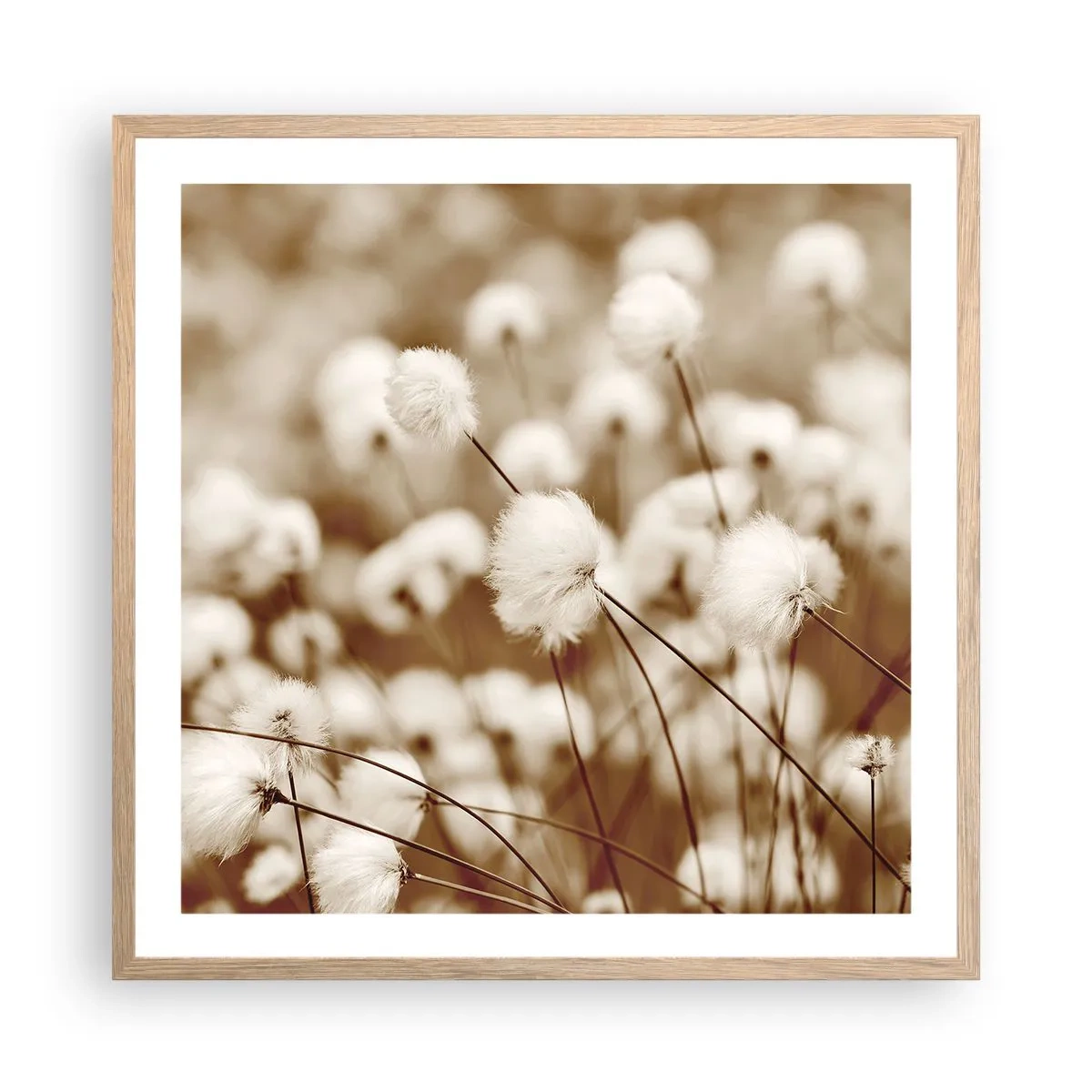Plakát v rámu světlý dub - Chlupatý lán - 60x60 cm