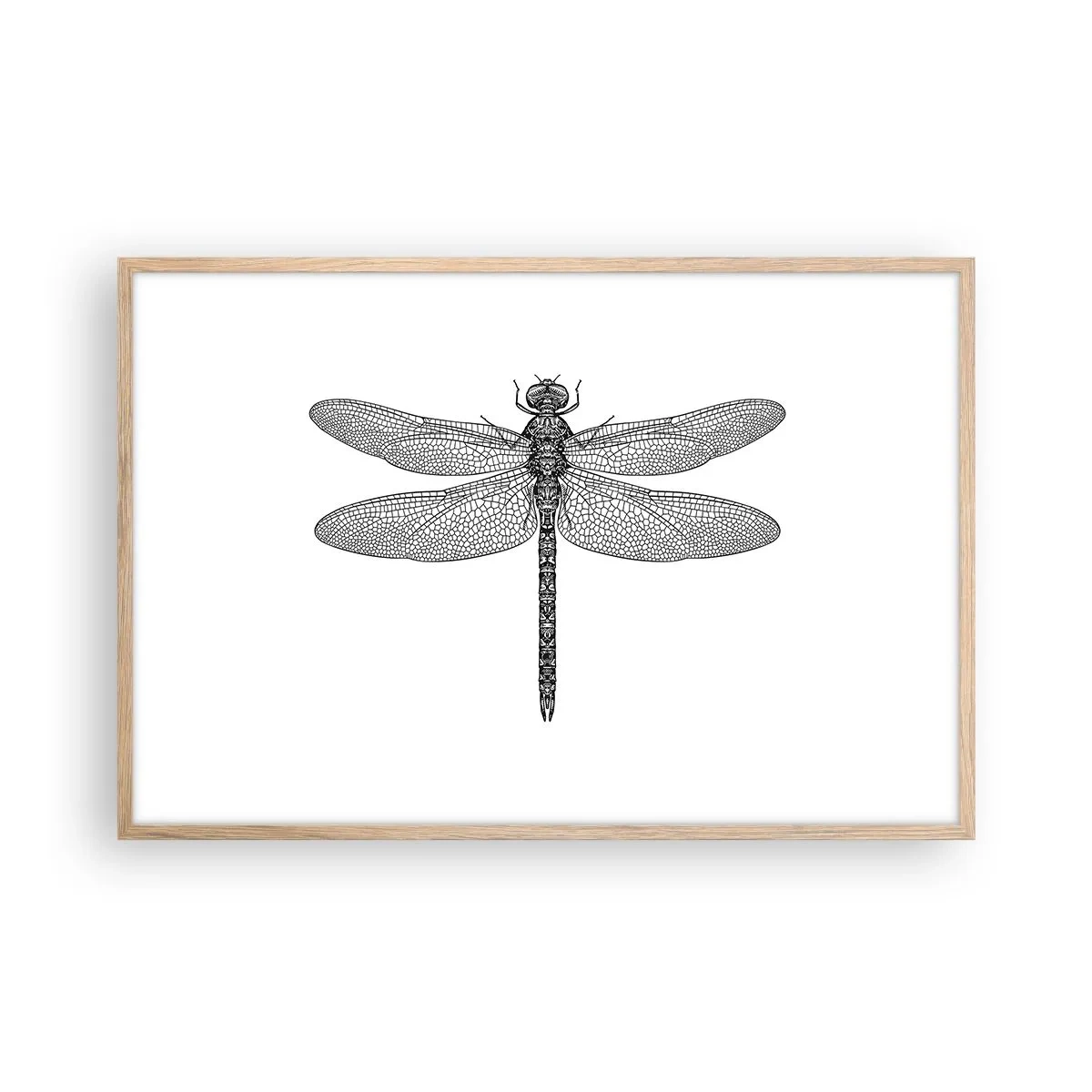 Plakát v rámu světlý dub - Přesnost přírody - 91x61 cm