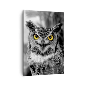 Obraz na plátně - Nic se neschová - 70x100 cm